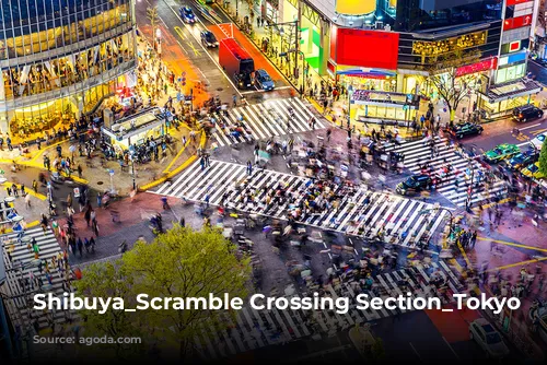 Shibuya_Scramble Crossing Section_Tokyo