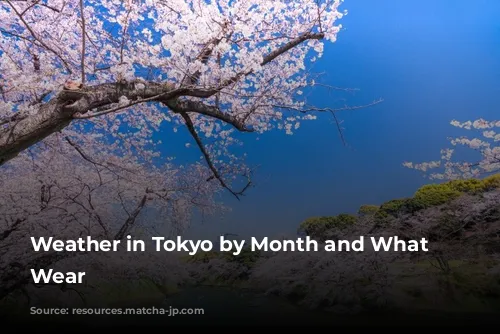 Weather in Tokyo by Month and What to Wear