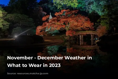 November - December Weather in Tokyo: What to Wear in 2023