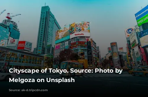 Cityscape of Tokyo. Source: Photo by Jezael Melgoza on Unsplash