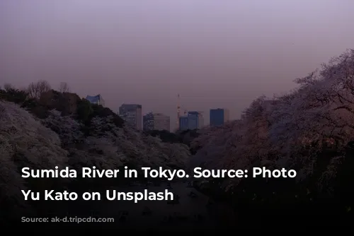 Sumida River in Tokyo. Source: Photo by Yu Kato on Unsplash