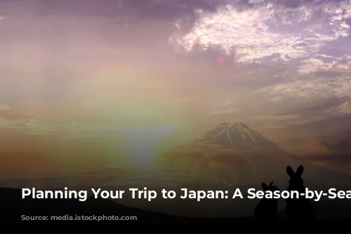 Planning Your Trip to Japan: A Season-by-Season Guide