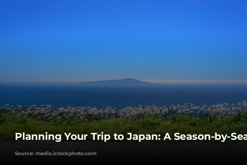 Planning Your Trip to Japan: A Season-by-Season Guide