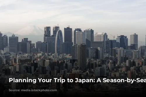 Planning Your Trip to Japan: A Season-by-Season Guide