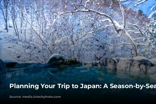 Planning Your Trip to Japan: A Season-by-Season Guide