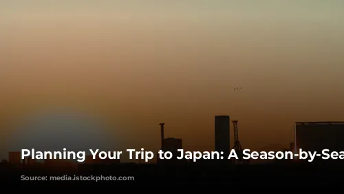 Planning Your Trip to Japan: A Season-by-Season Guide