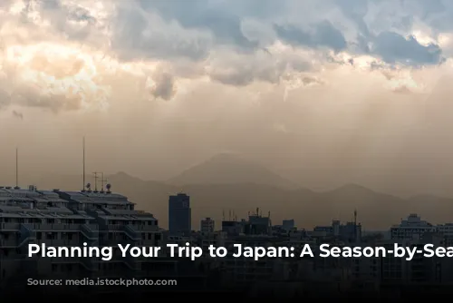 Planning Your Trip to Japan: A Season-by-Season Guide