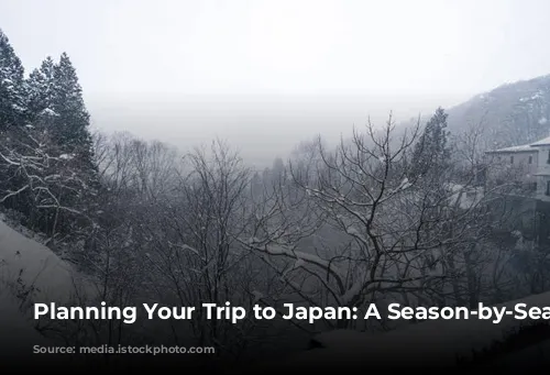 Planning Your Trip to Japan: A Season-by-Season Guide