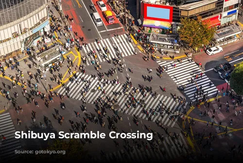 Shibuya Scramble Crossing