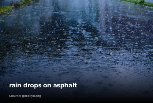 rain drops on asphalt