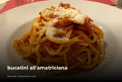 bucatini all'amatriciana