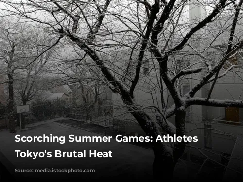 Scorching Summer Games: Athletes Battle Tokyo's Brutal Heat