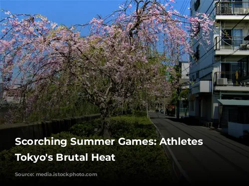 Scorching Summer Games: Athletes Battle Tokyo's Brutal Heat