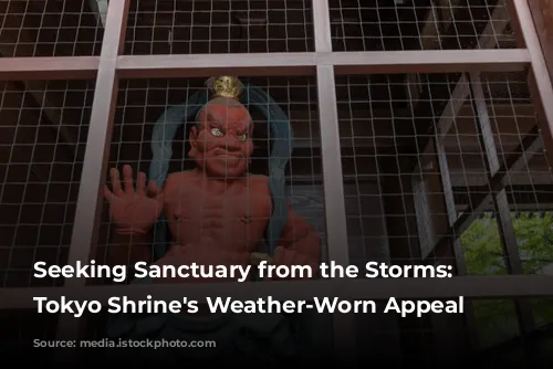 Seeking Sanctuary from the Storms: A Tokyo Shrine's Weather-Worn Appeal