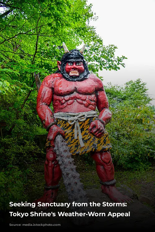 Seeking Sanctuary from the Storms: A Tokyo Shrine's Weather-Worn Appeal