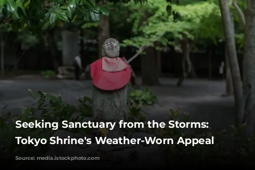 Seeking Sanctuary from the Storms: A Tokyo Shrine's Weather-Worn Appeal