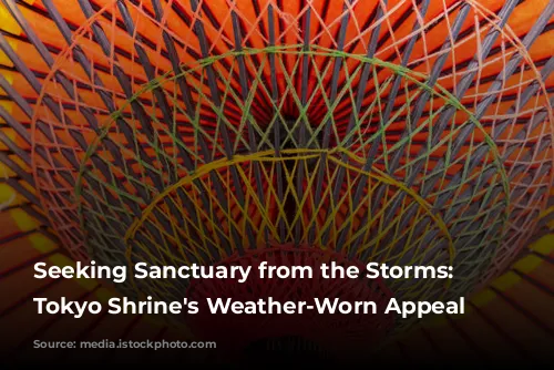 Seeking Sanctuary from the Storms: A Tokyo Shrine's Weather-Worn Appeal