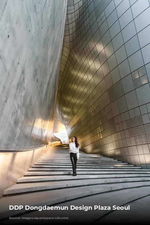 DDP Dongdaemun Design Plaza Seoul