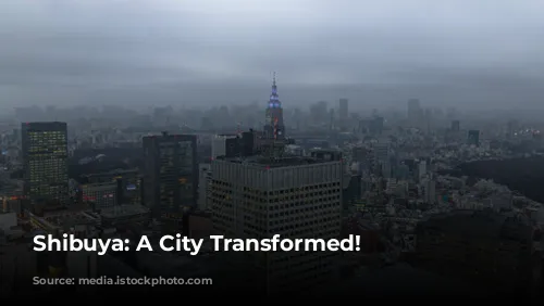 Shibuya: A City Transformed!