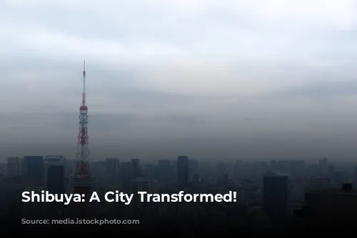 Shibuya: A City Transformed!