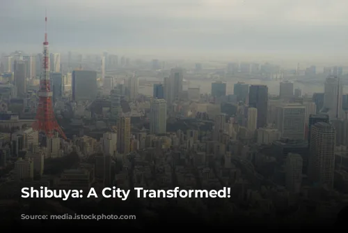 Shibuya: A City Transformed!