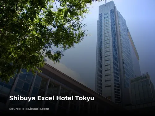 Shibuya Excel Hotel Tokyu