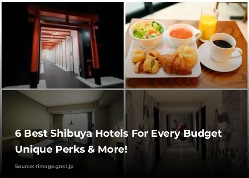 6 Best Shibuya Hotels For Every Budget - Unique Perks & More!