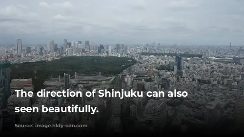 The direction of Shinjuku can also be seen beautifully.