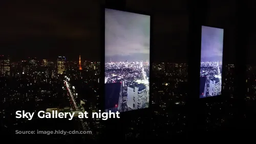 Sky Gallery at night