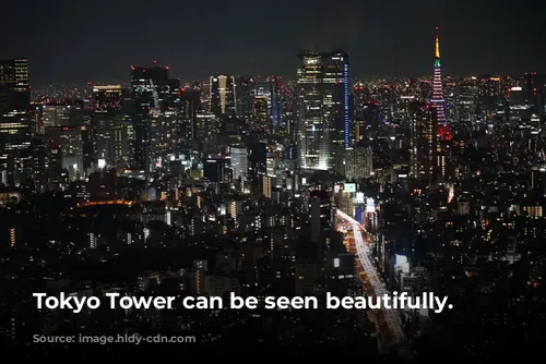 Tokyo Tower can be seen beautifully.