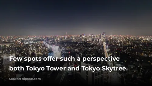 Few spots offer such a perspective of both Tokyo Tower and Tokyo Skytree.