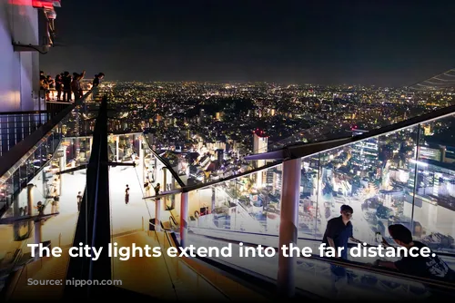 The city lights extend into the far distance.