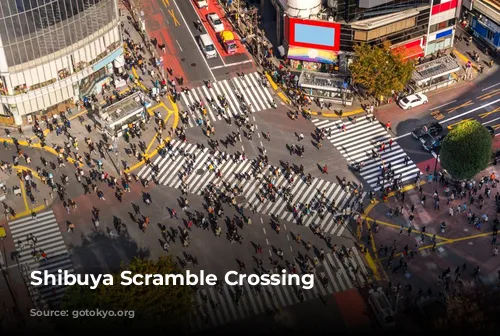 Shibuya Scramble Crossing