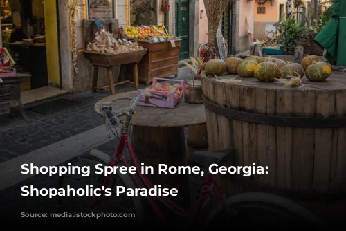 Shopping Spree in Rome, Georgia: A Shopaholic's Paradise