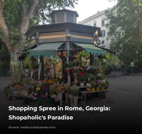 Shopping Spree in Rome, Georgia: A Shopaholic's Paradise