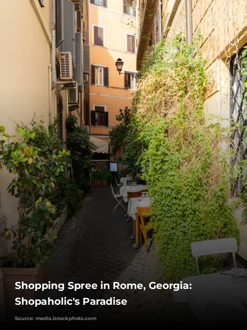 Shopping Spree in Rome, Georgia: A Shopaholic's Paradise