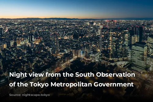 Night view from the South Observation Deck of the Tokyo Metropolitan Government Building