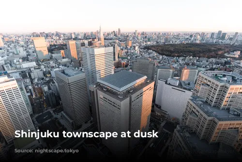 Shinjuku townscape at dusk