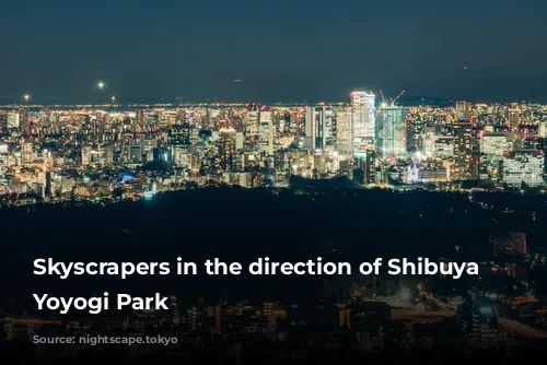 Skyscrapers in the direction of Shibuya and Yoyogi Park