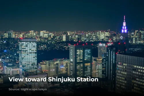 View toward Shinjuku Station