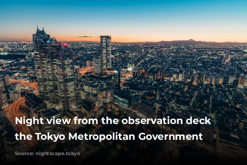 Night view from the observation deck of the Tokyo Metropolitan Government Building