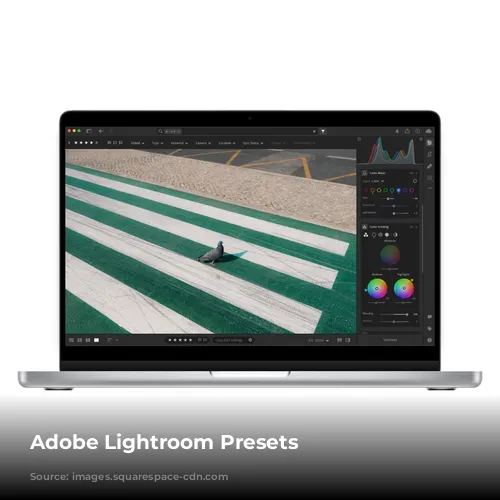 Adobe Lightroom Presets