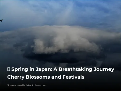 🌸 Spring in Japan: A Breathtaking Journey Through Cherry Blossoms and Festivals