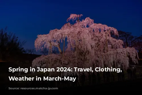 Spring in Japan 2024: Travel, Clothing, and Weather in March-May