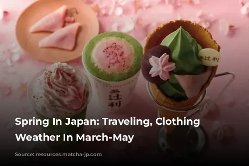 Spring In Japan: Traveling, Clothing And Weather In March-May