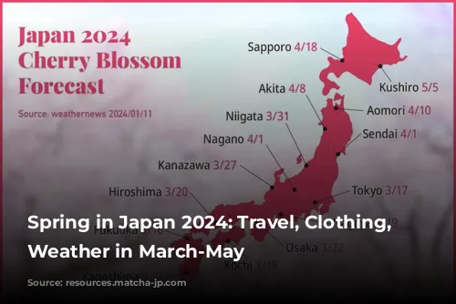 Spring in Japan 2024: Travel, Clothing, and Weather in March-May