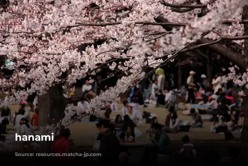 hanami