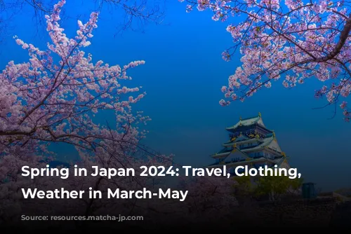 Spring in Japan 2024: Travel, Clothing, and Weather in March-May