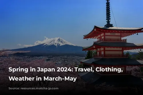 Spring in Japan 2024: Travel, Clothing, and Weather in March-May