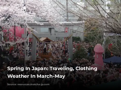 Spring In Japan: Traveling, Clothing And Weather In March-May